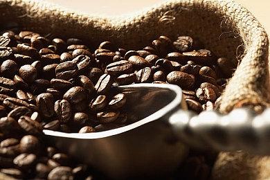 《FGO》开发商成立新公司 小野义德担任董事