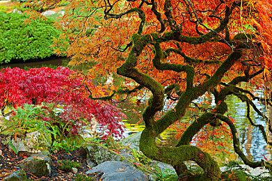 《阿盖尔：神秘特工》 发布首支预告 明年2月上映