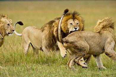 恐怖游戏《SURANGAMA》将加入黑白无常